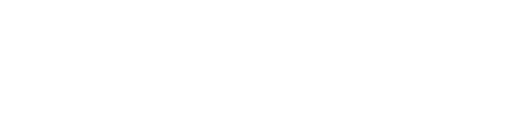 logowhite-nomini
