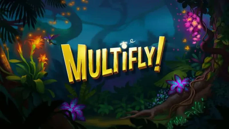 fonctionnement de multifly! yggdrasil