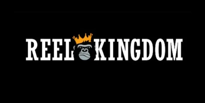 reel kingdom provider big bass splash