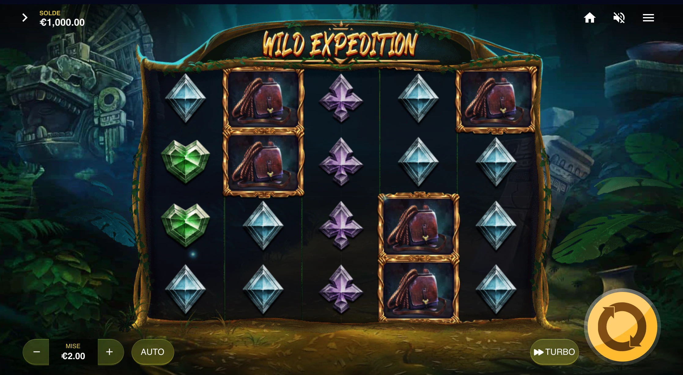 Grille de départ de Wild Expedition
