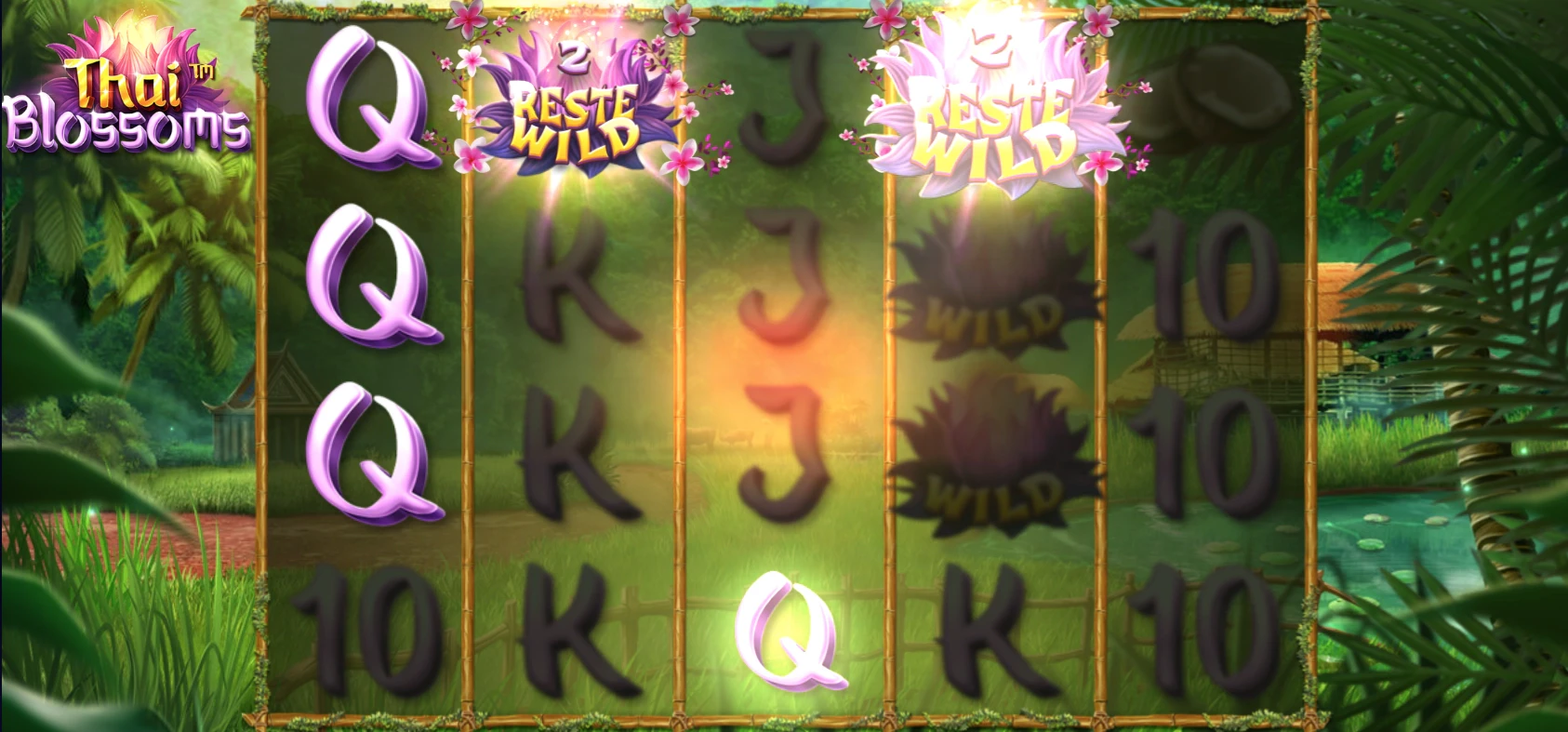 Fonctionnalité dans le jeu de base de Thai Blossoms