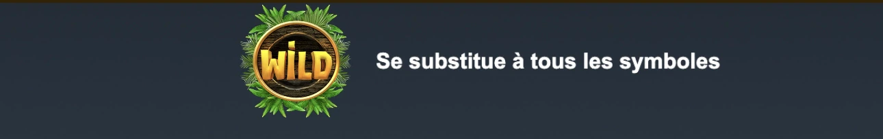 Le symbole wild permet de connecter avec tous les autres symboles sur Tiki Runner 2