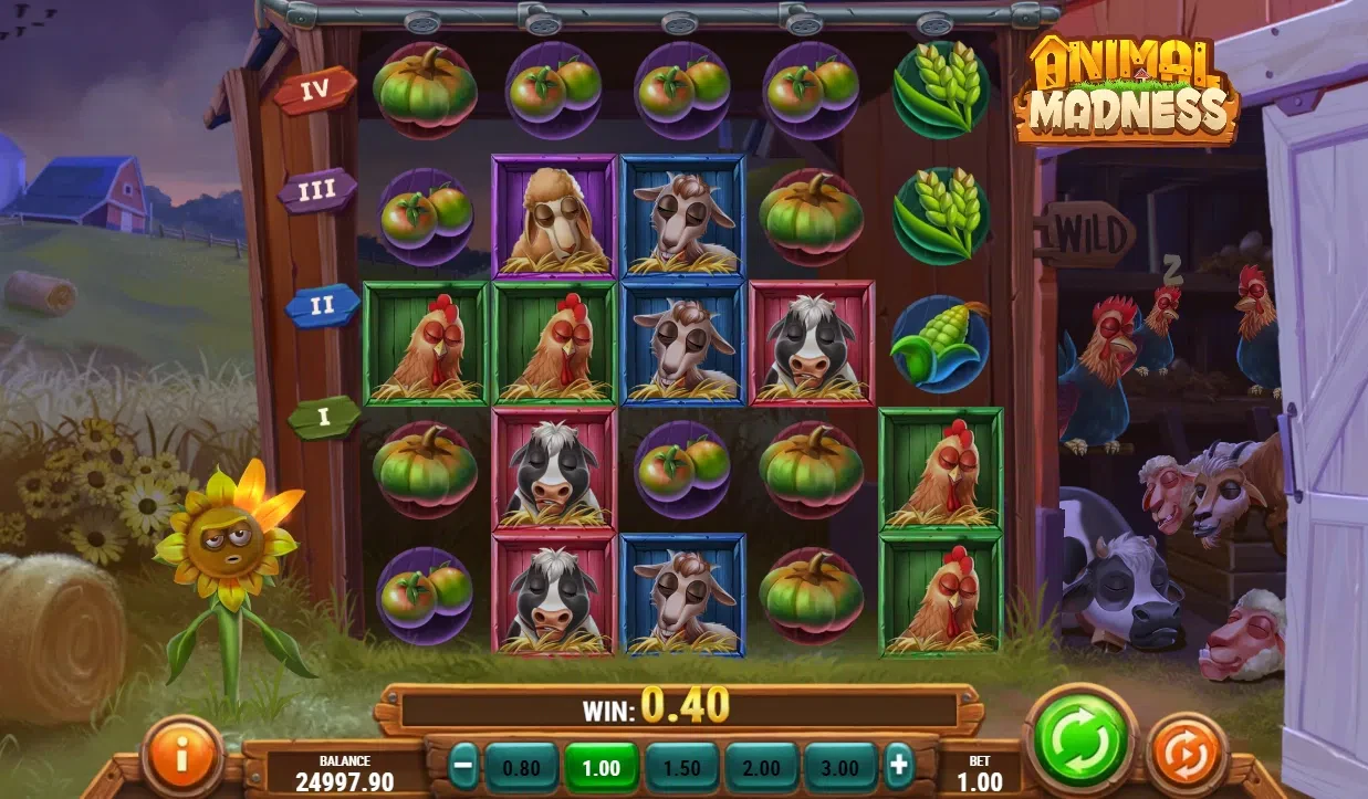 jeu de base la slot animal madness play’ngo