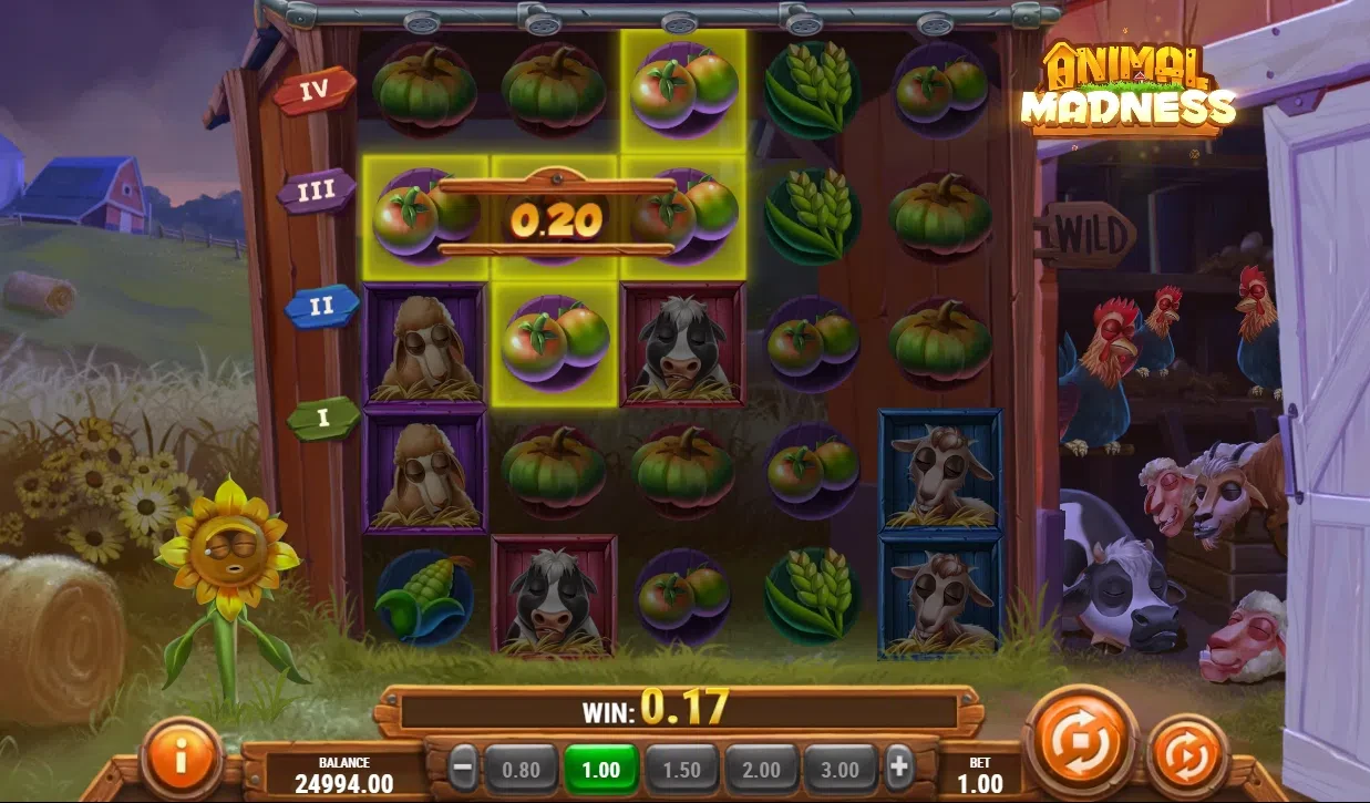 les différentes connexions sur animal madness play’ngo