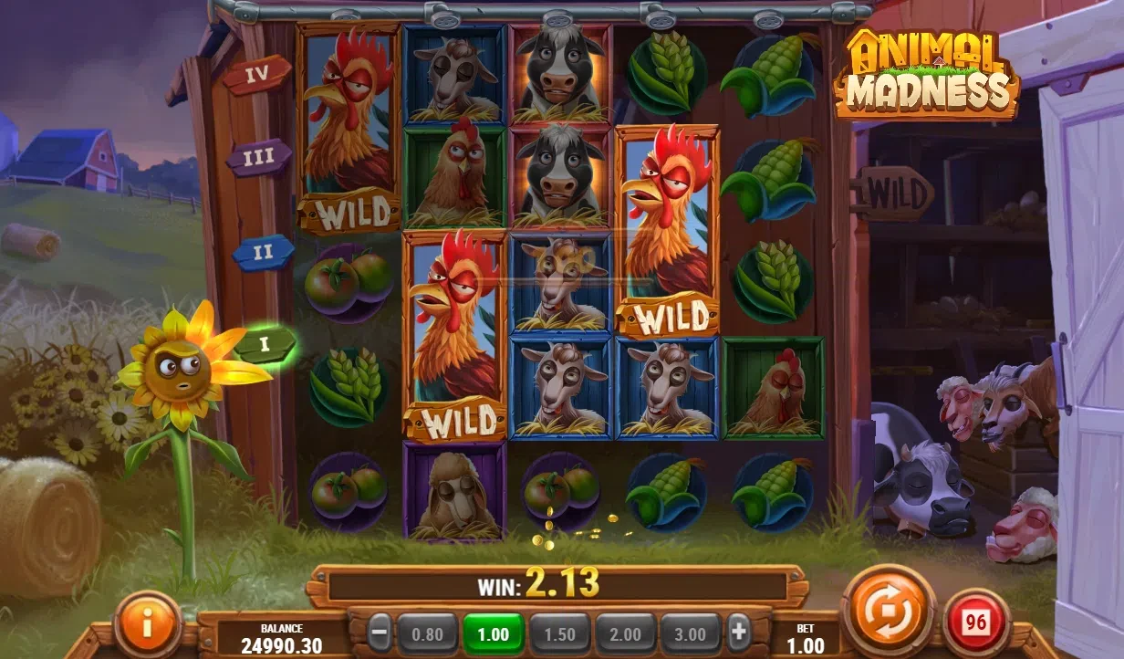 poulets wilds premier niveau bonus animal madness play’ngo