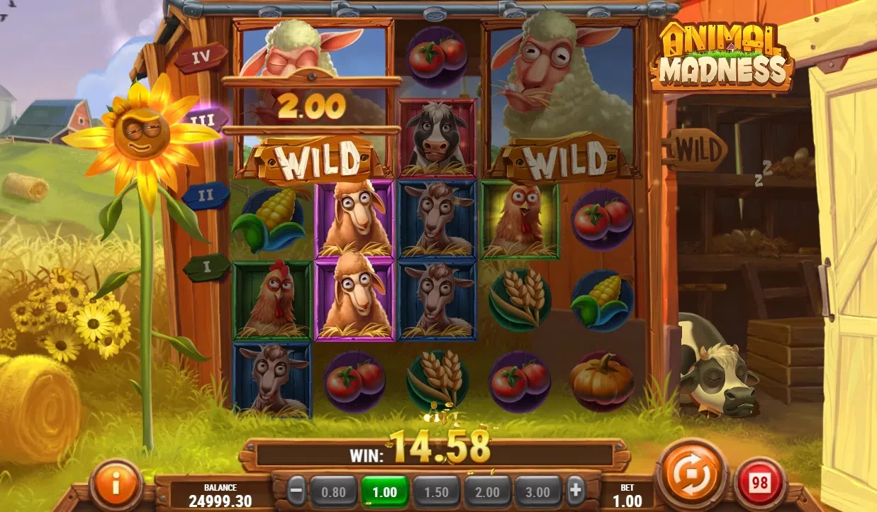 moutons wilds bonus d’animal madness play’ngo