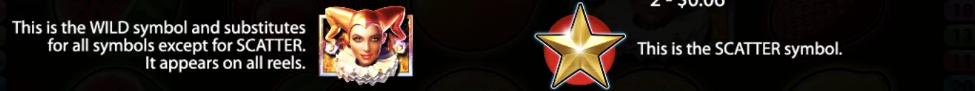 [PLACEHOLDER]