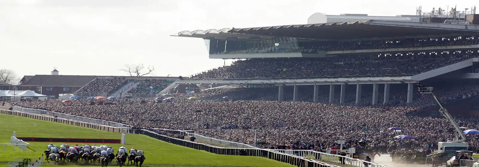 festival de Cheltenham