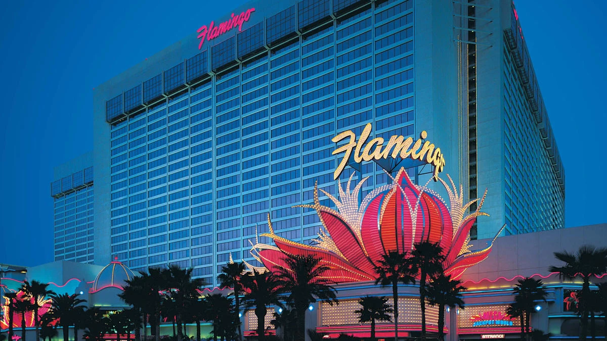 big win thomas zanot flamingo