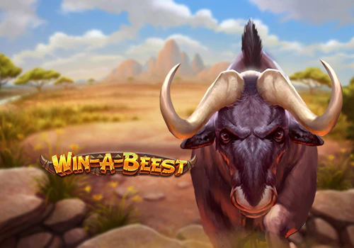 Win A Beest