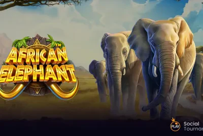 African Elephant