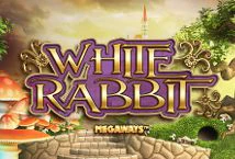 White Rabbit