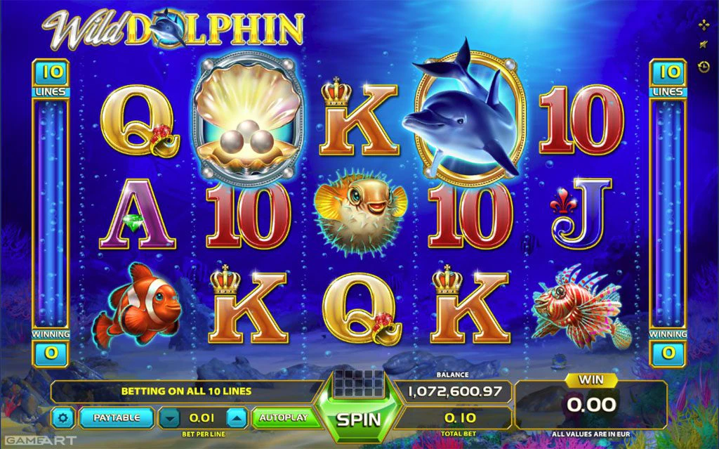 Wild Dolphin