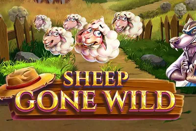 Sheep Gone Wild