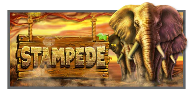 Stampede