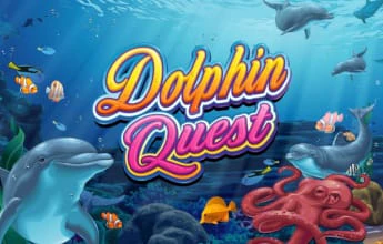 Dolphin Quest