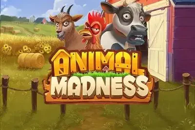Animal Madness