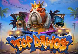 Top Dawgs