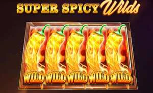 Wild Hot Chilli Reels