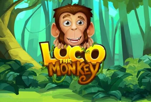 Loco the Monkey