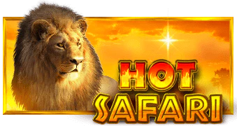 Hot Safari