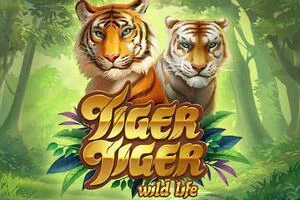 Tiger Tiger