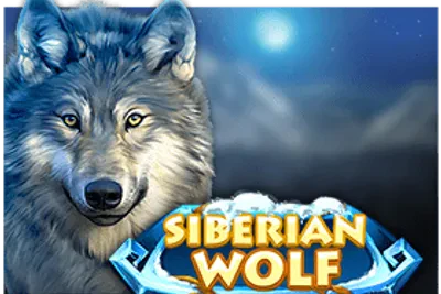Siberian Wolf