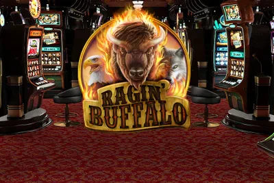 Ragin' Buffalo