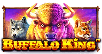 Buffalo King