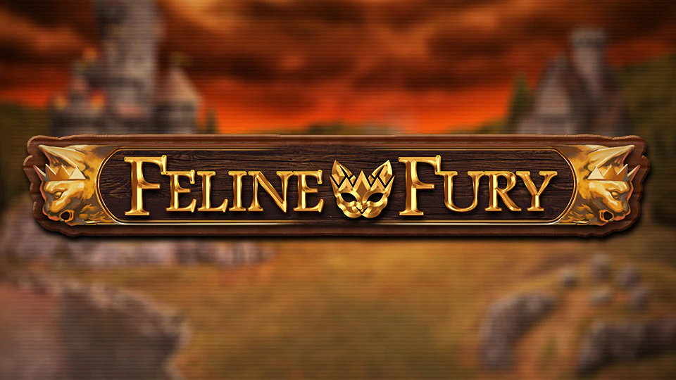 Feline Fury