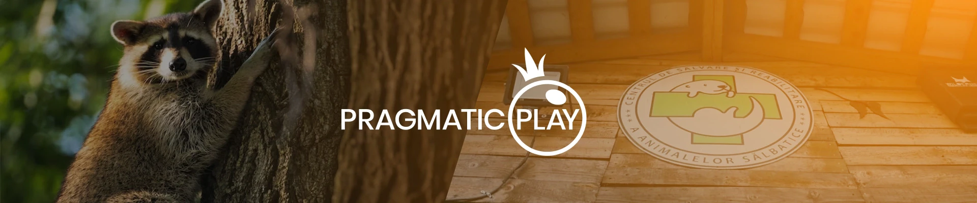 pragmatic