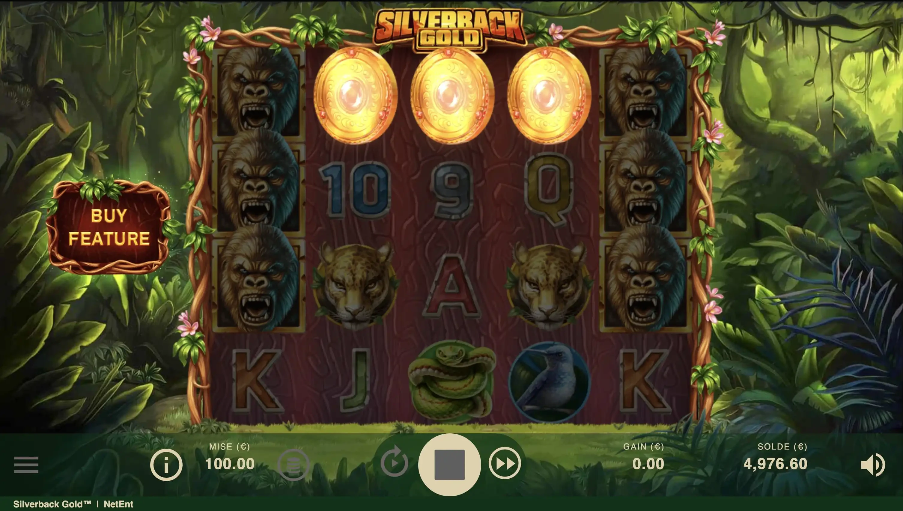 Obtention des parties bonus sur la machine a sous Silverback Gold de NetEnt