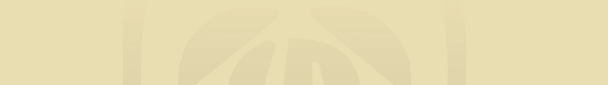 header-review-palmcasino