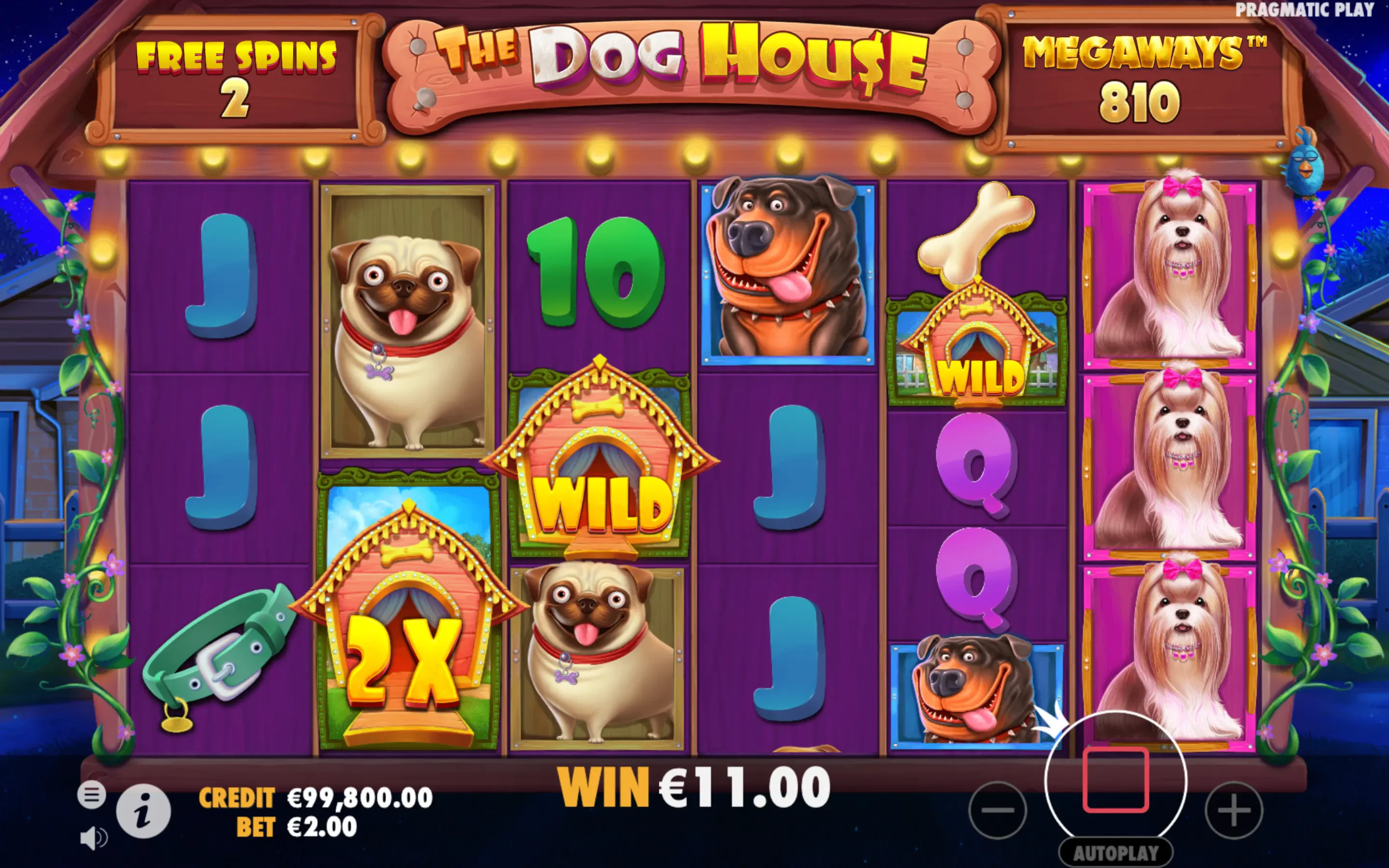 The Dog House Megaways bonus