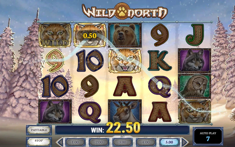 Wild North est une machine à sous peu volatile sur laquelle vous pourrez obtenir régulièrement le bonus