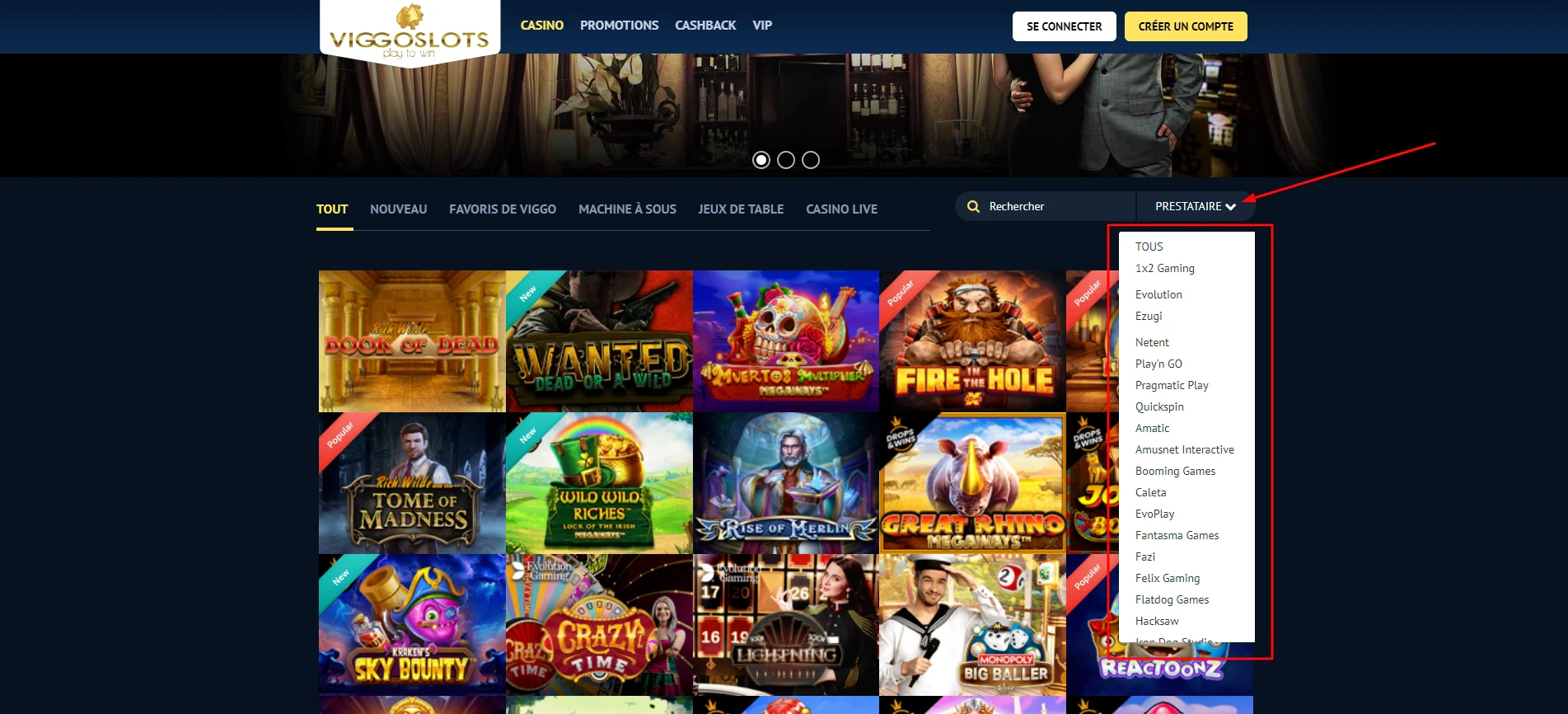 Il existe de nombreux fournisseurs de jeux sur Viggoslots