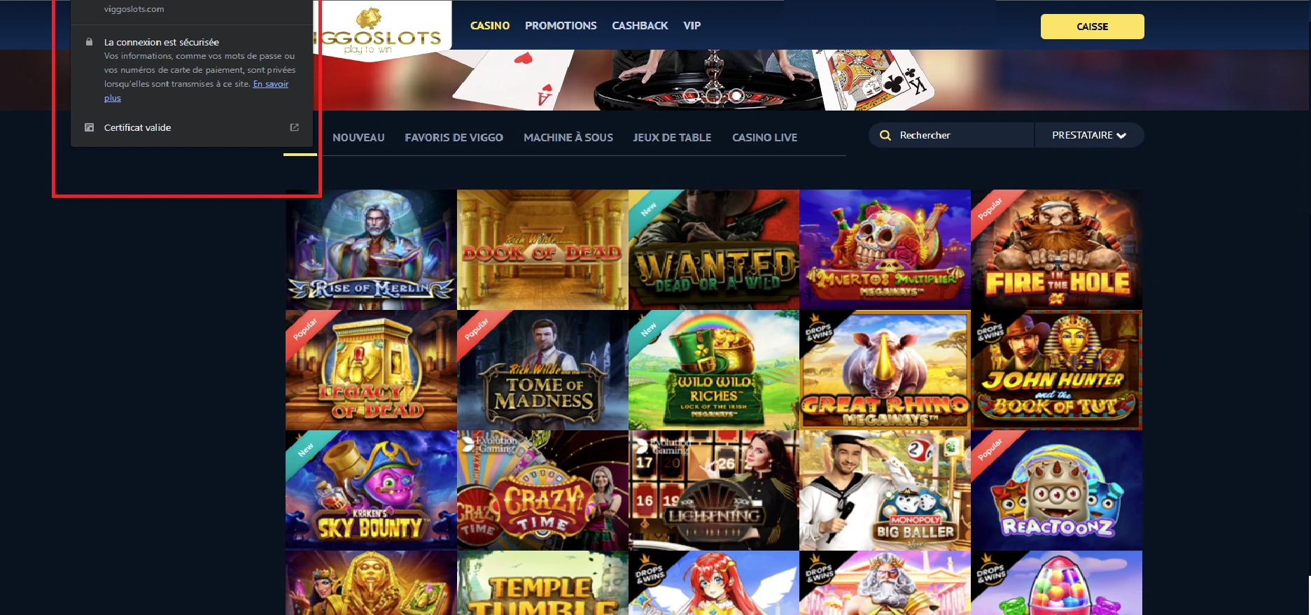 Sécurité sur Viggoslots