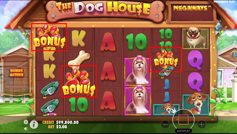 The Dog House