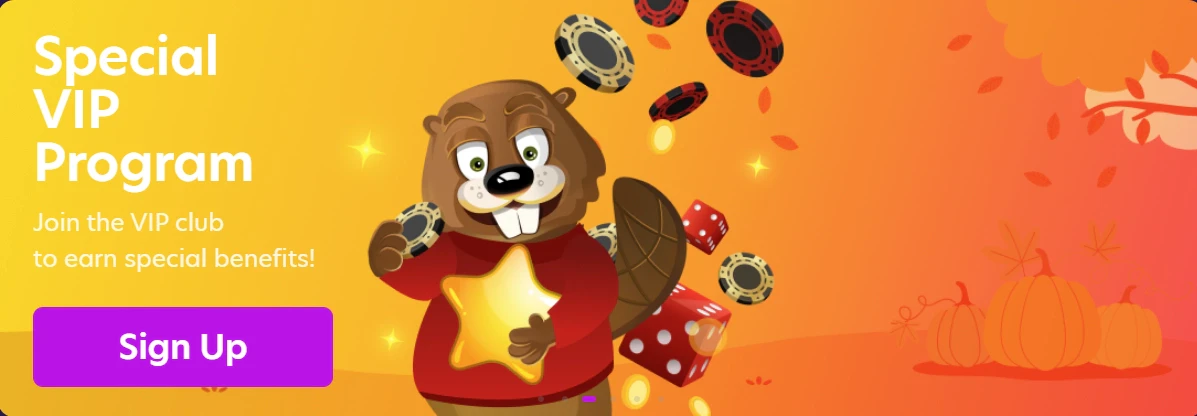BingoBonga VIP Program