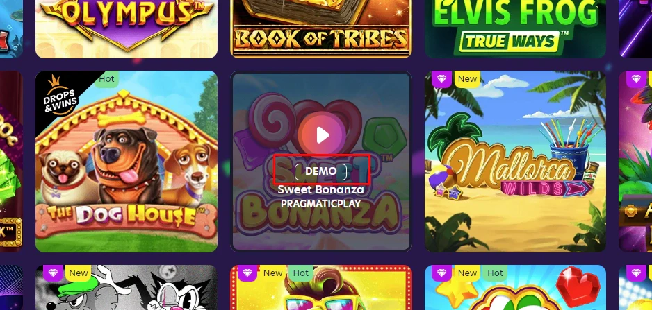 BingoBonga Demo Mode