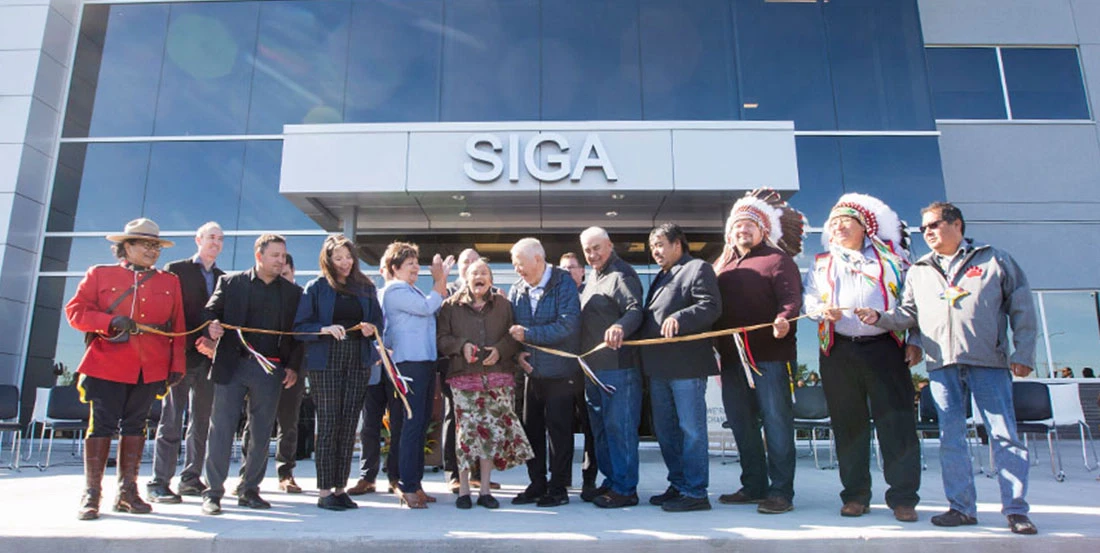 SIGA distribution of revenue