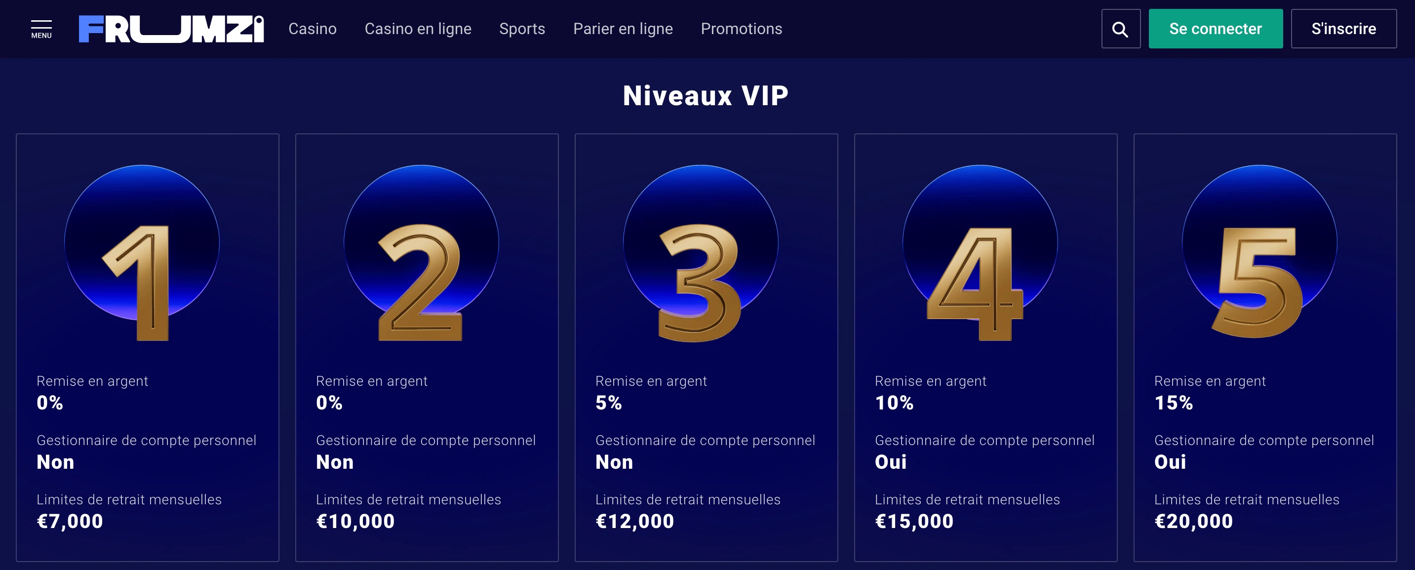 programme vip frumzi