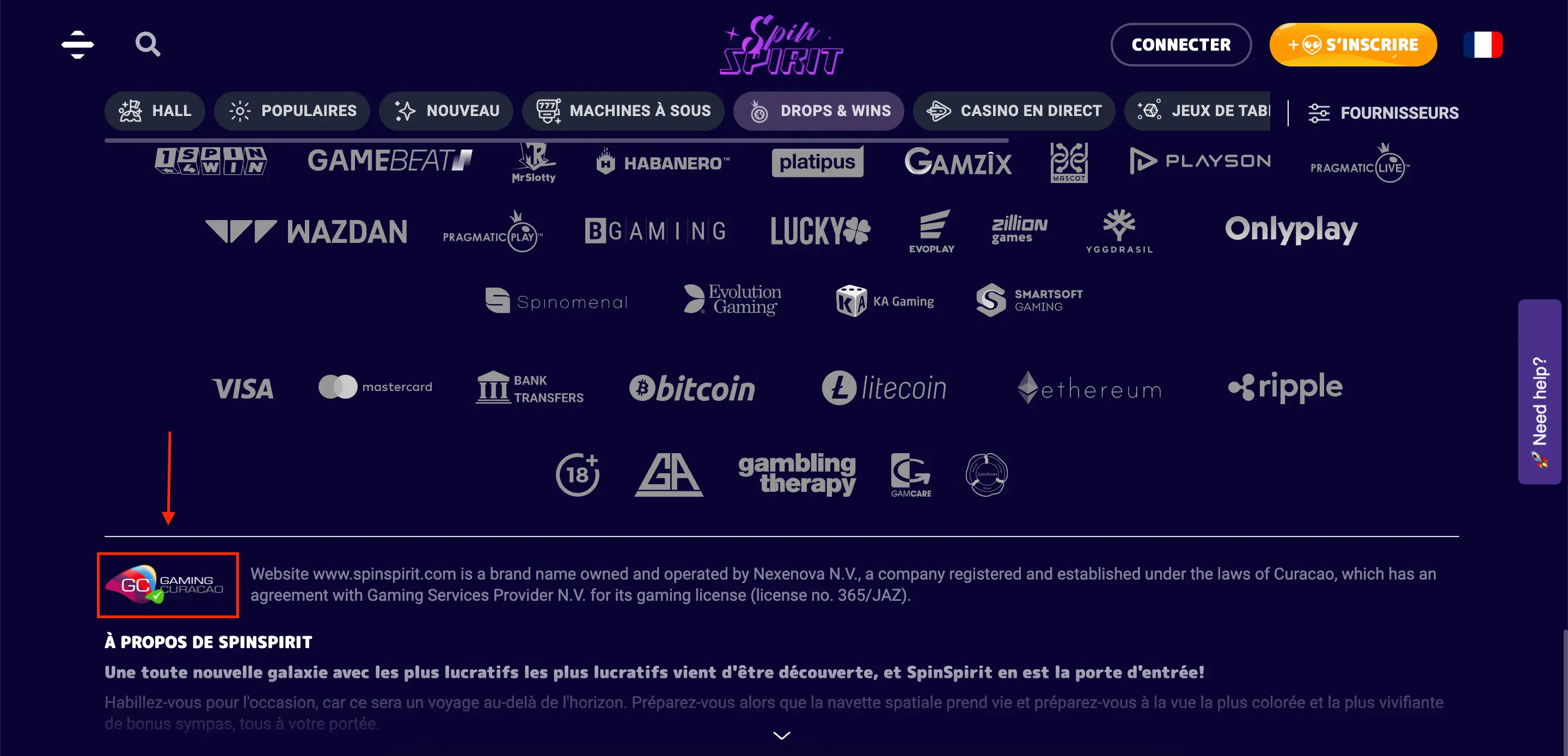 spinspirit licence de jeu