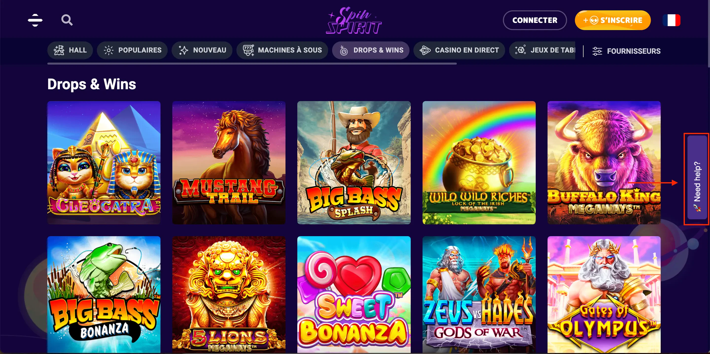 spinspirit support client