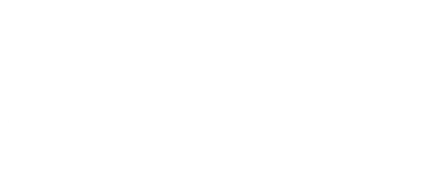 logotype white slott