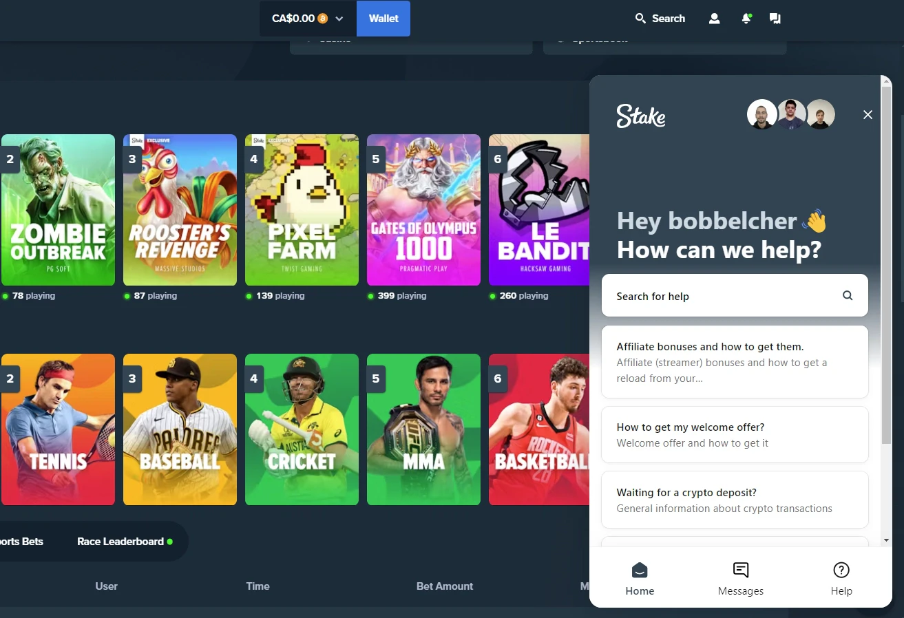 Stake Casino Customer Support