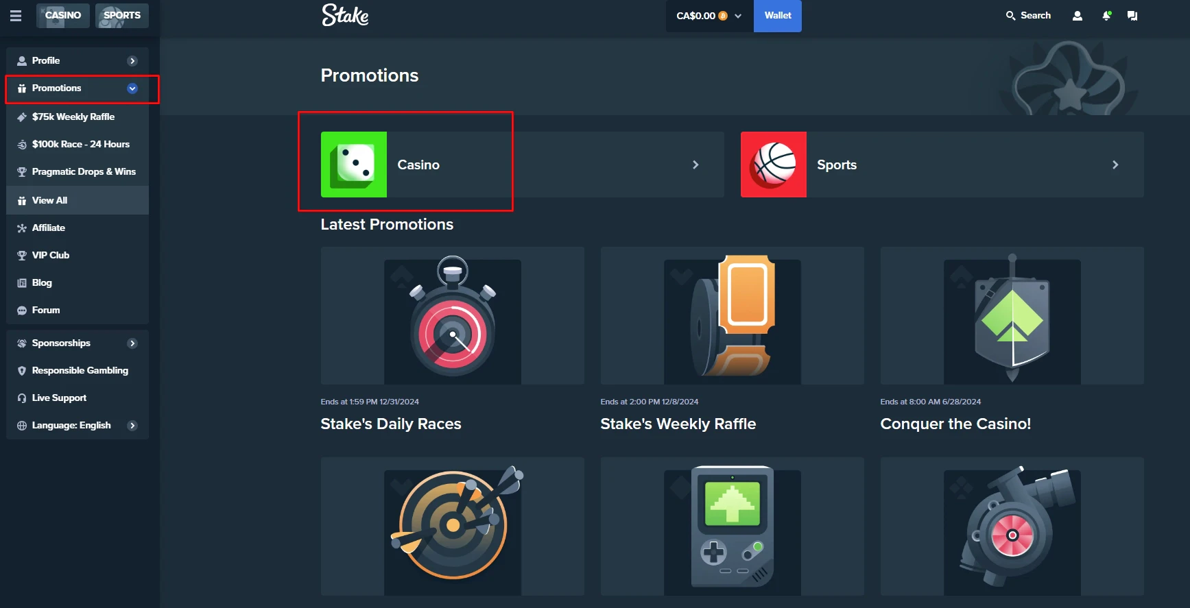 Stake Casino Bonuses and Promotions