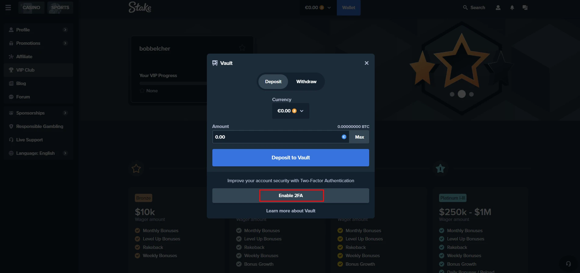 Stake Casino Two-Factor Authentication