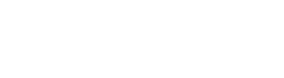 logotype white evobet