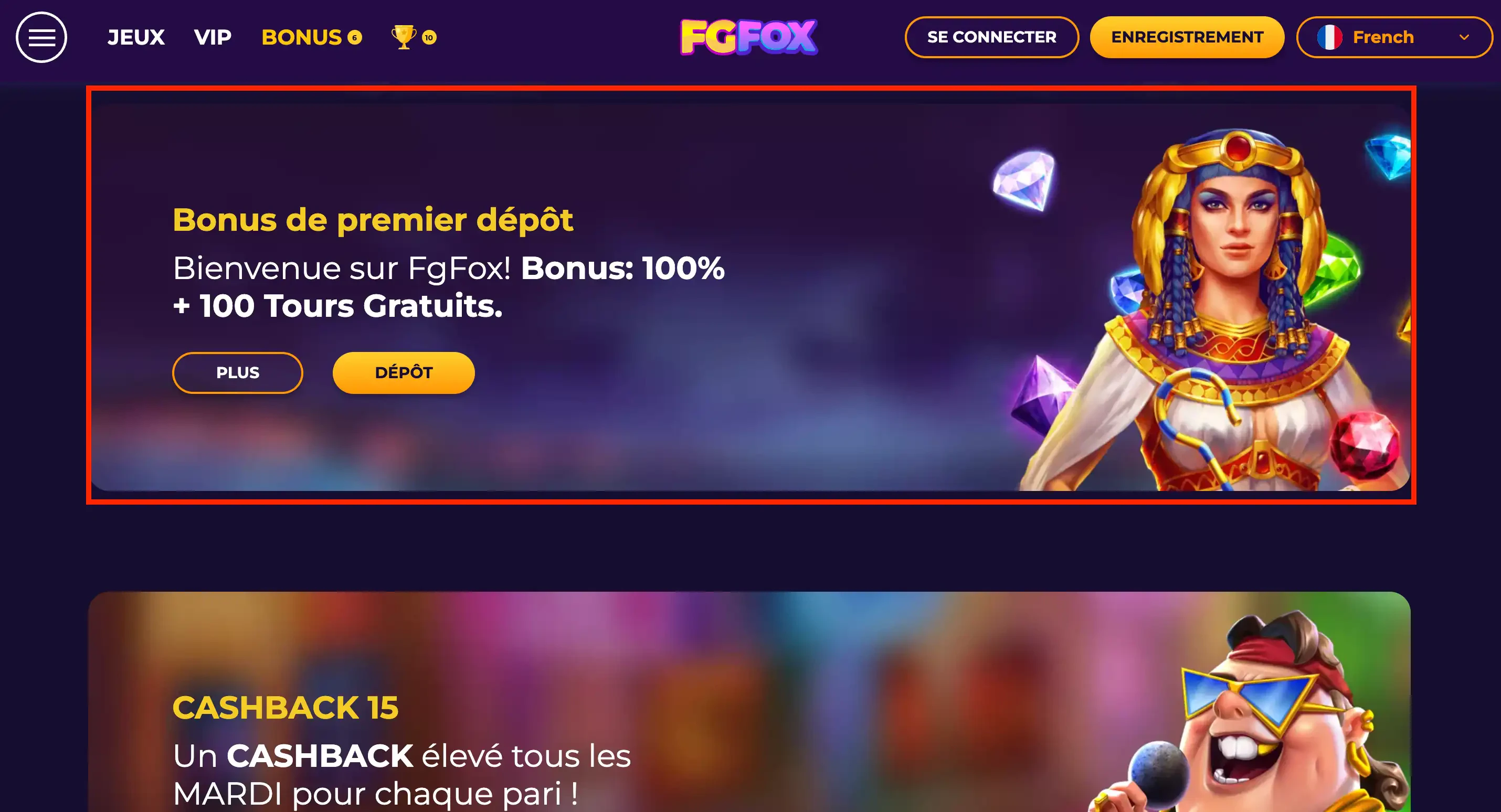 FGFox offre bonus